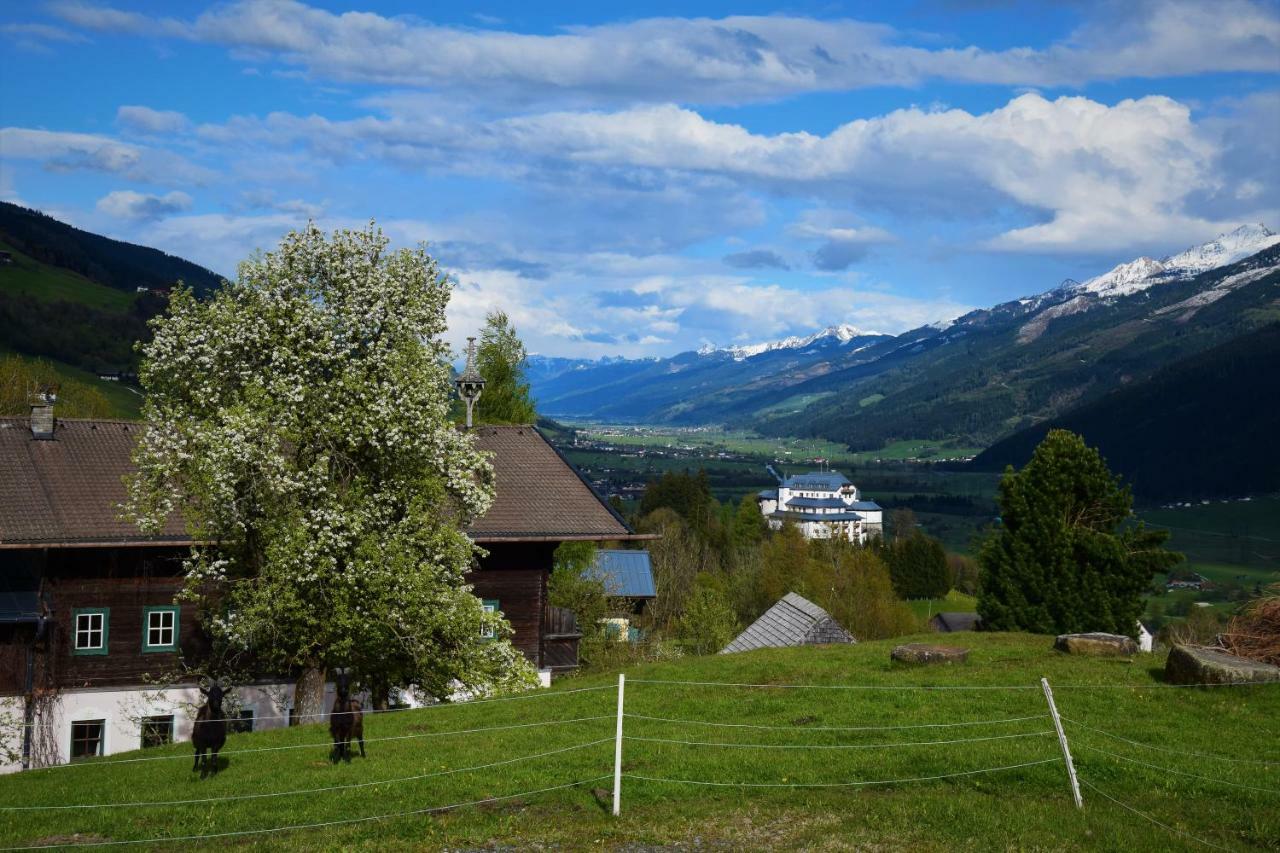 Pension Schachernhof Hotel Mittersill Buitenkant foto